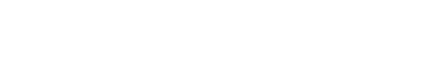 BairesRental